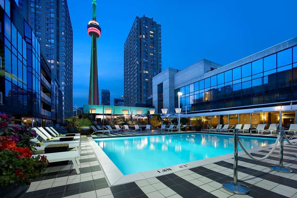 Lounge on Our Rooftop Patio in Toronto, ON | Radisson Hotels Americas
